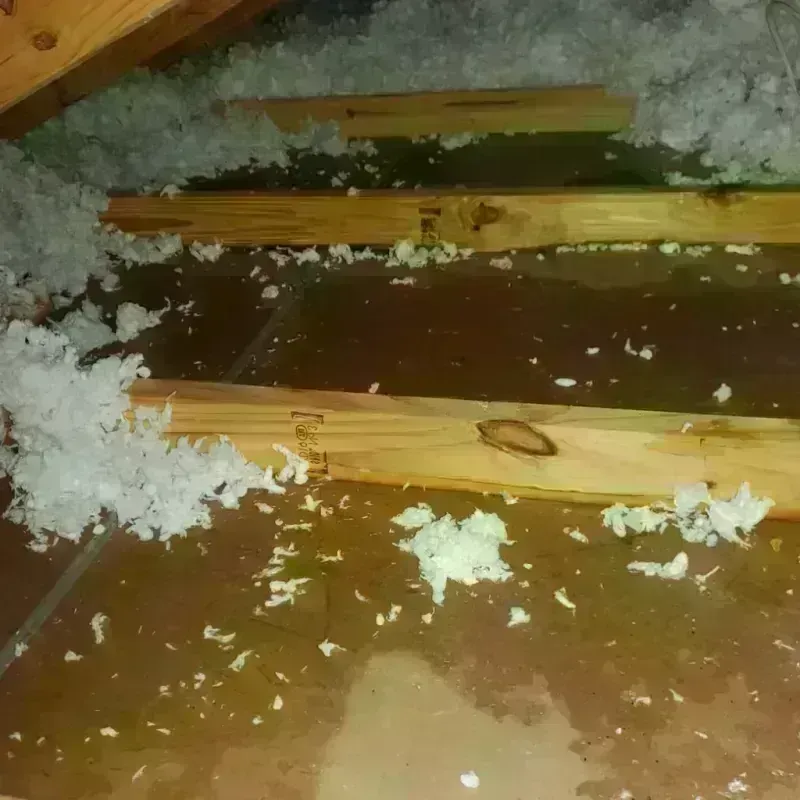 Best Attic Water Damage Service in San Juan County, CO