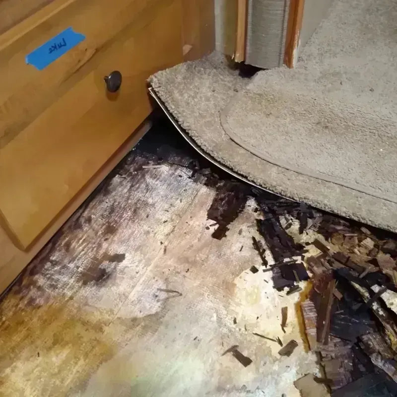 Wood Floor Water Damage in San Juan County, CO